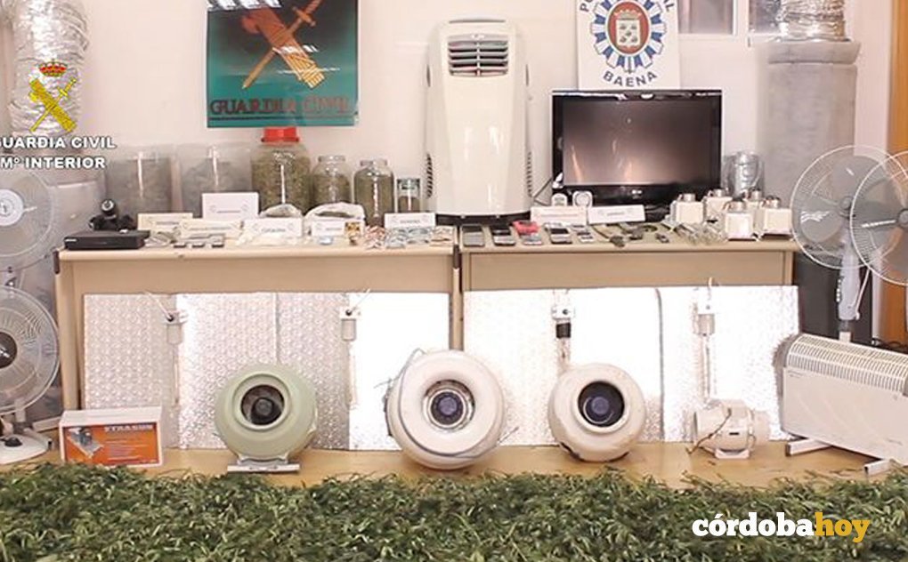 Material incautado por la Guardia Civil en Baena 1