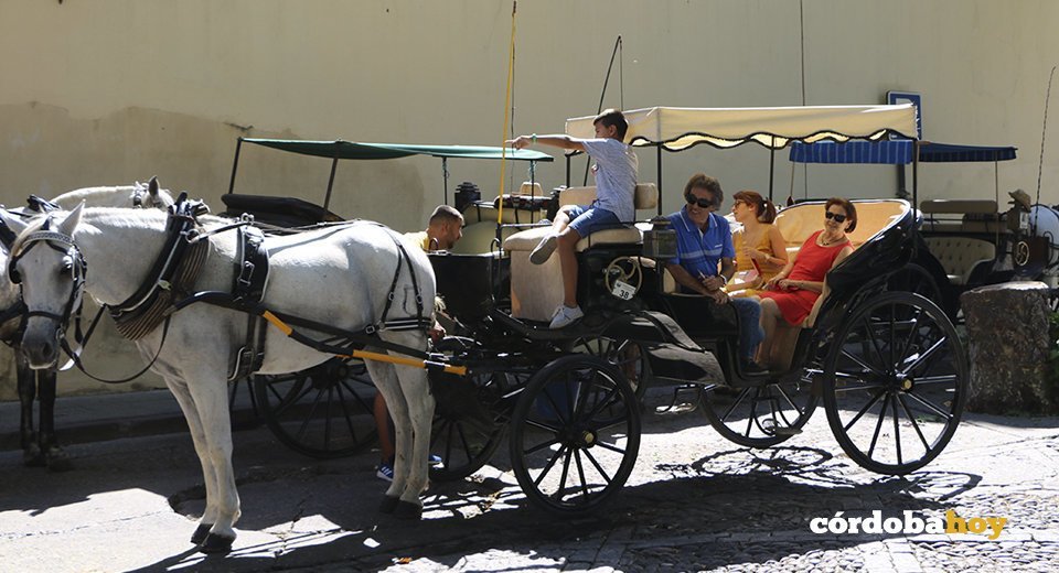 Coches Caballos 1