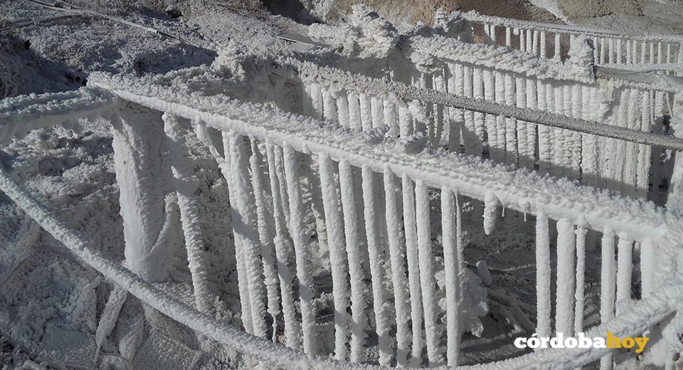 Salinas de Albendín