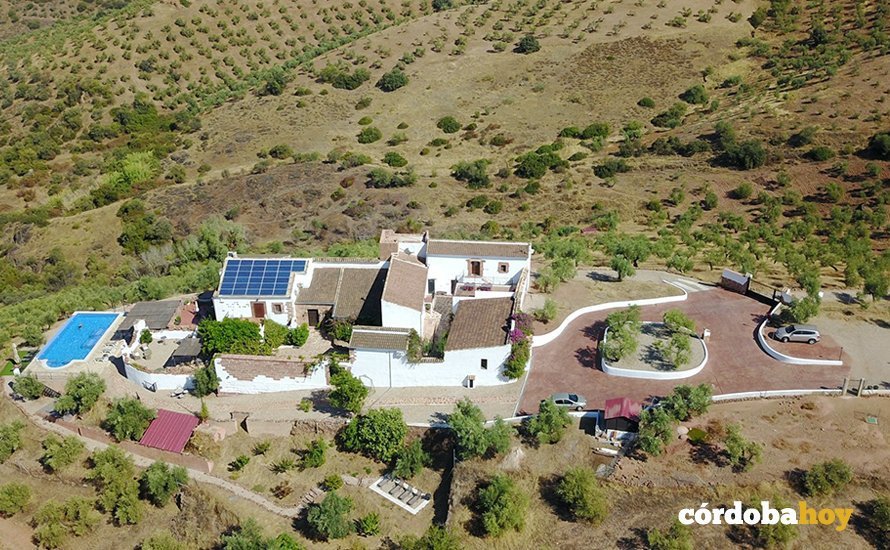 Olivetum Colina de Montoro