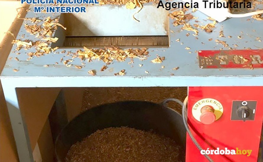 contrabando de tabaco