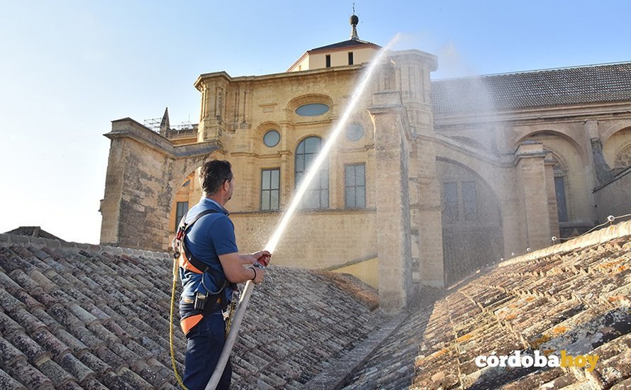 mezquita bomberos