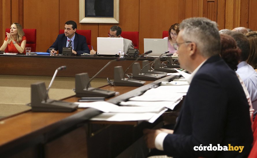 Pleno municipal de agosto de 2019 2