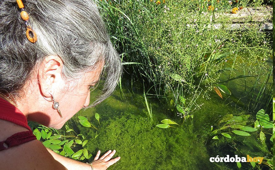 La bióloga del Jardín Botánico Mónica López mostrando algas charas