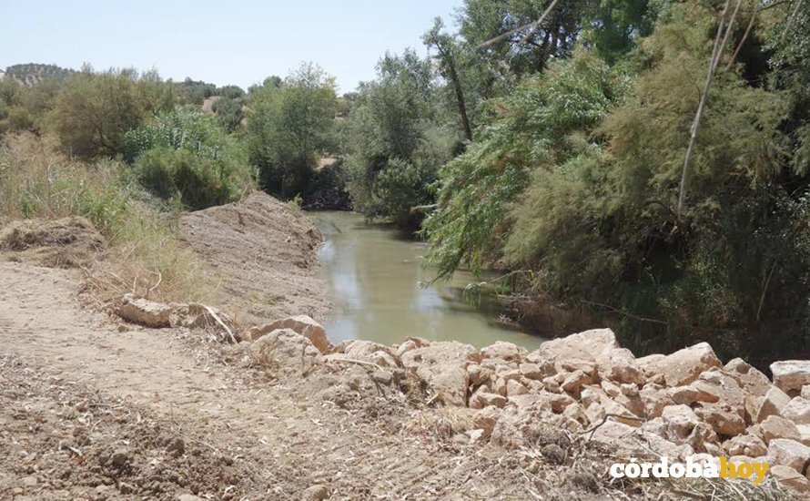 Muros de piedra en la ribera del río Salado, en el término de Luque