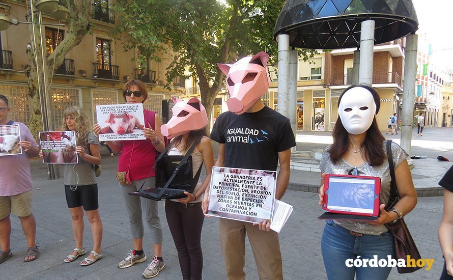 Manifestación contra el matadero de Binéfar II