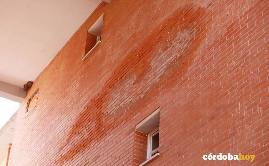 Humedades en las fachadas de los bloques de Las Moreras
