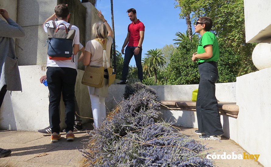 Instalación efímera de Flor Motion en Flora2