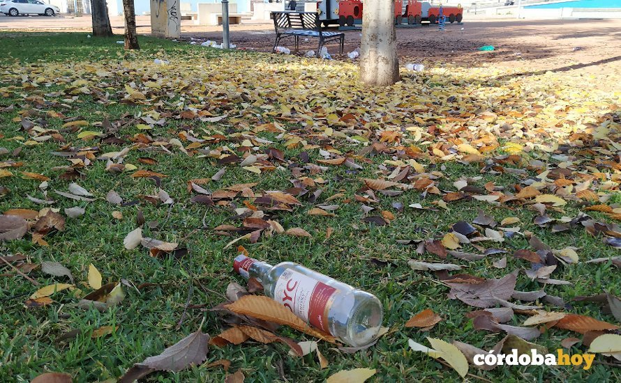 Suciedad dejada por el botellón en el parque del Vial junto a la antigua estación 1