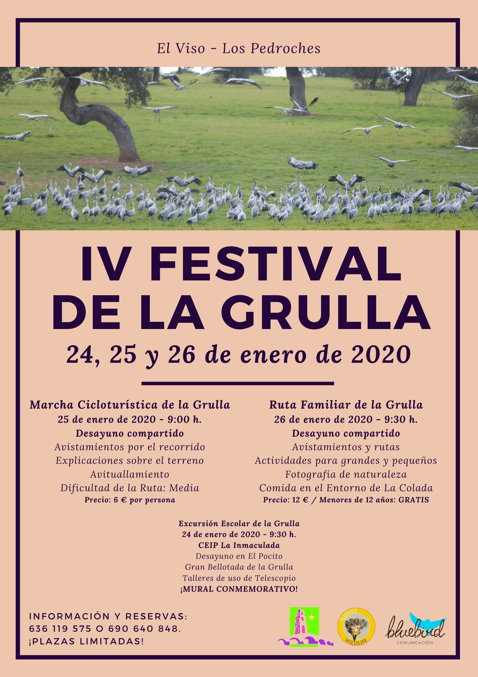 cartel-festival-grulla