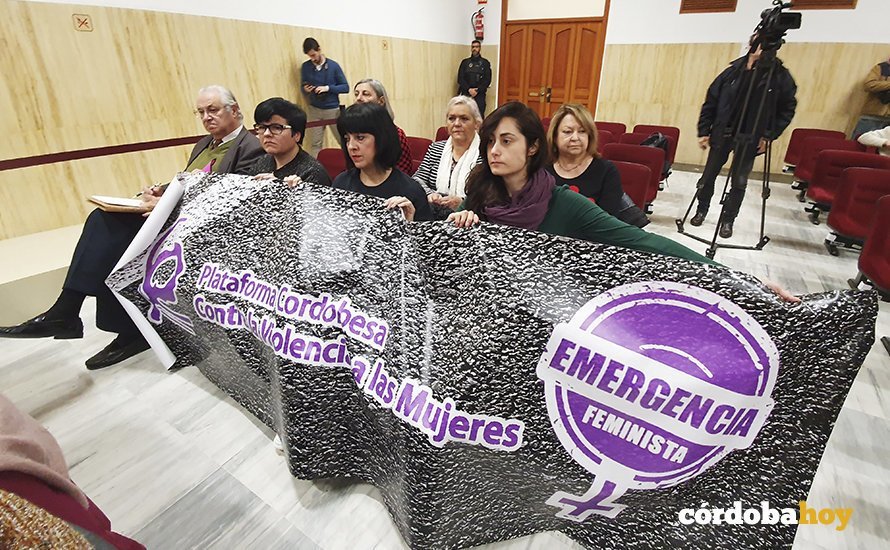 La Plataforma Cintra la Violencia a la Mujer en el Pleno del Ayuntamiento