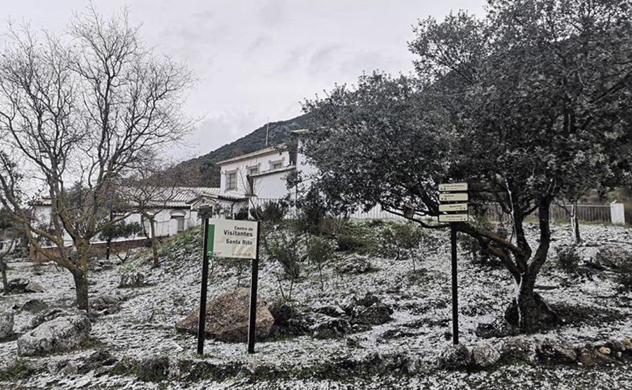 Ligera nevada en la zona de 'El Mojón' y Santa Rita 6