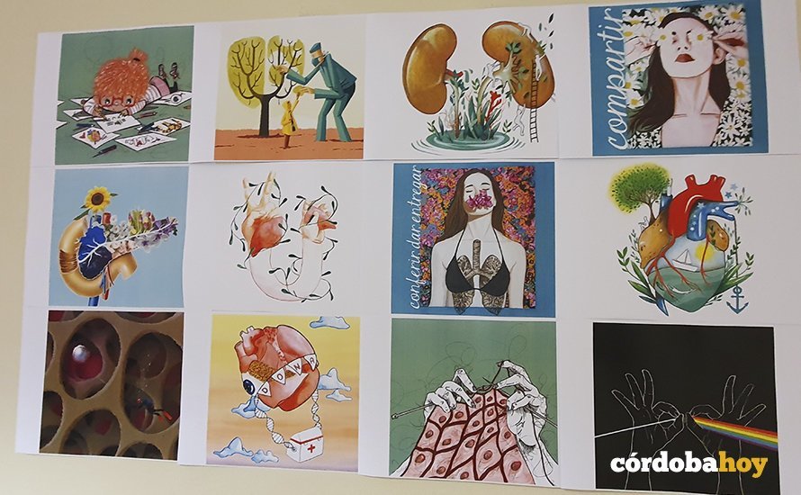 Las doce obras al completo