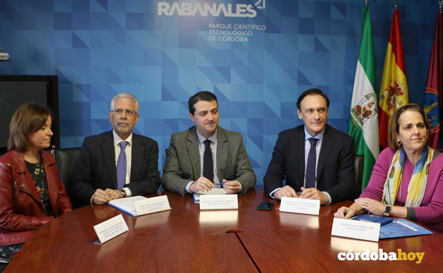 Rabanales 21