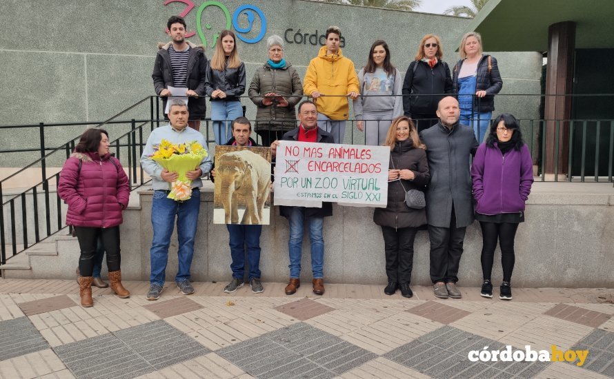 Protesta que recuerda la muerte de la elefanta Flavia