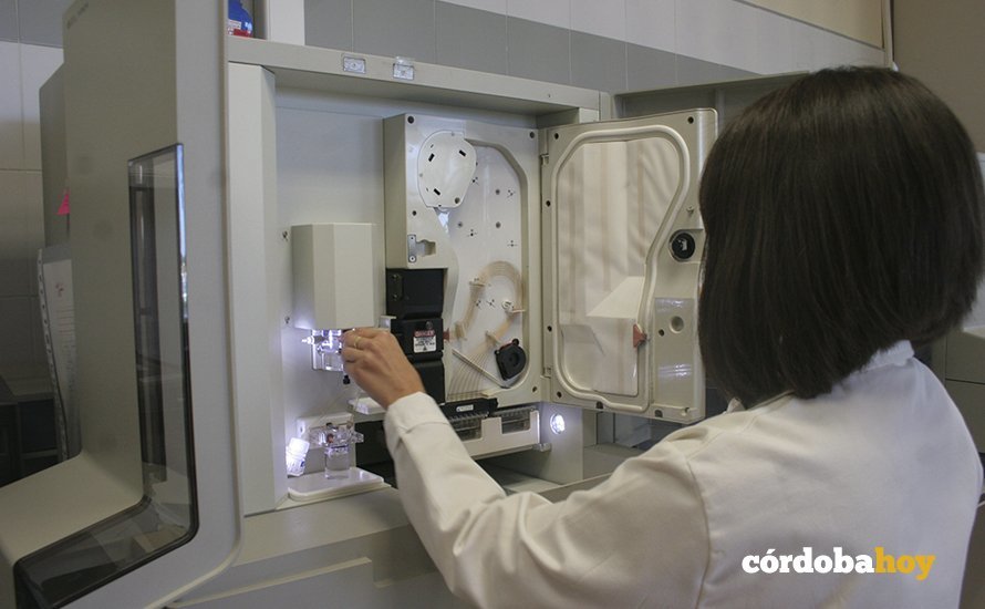 Investigación de la Universidad de Córdoba