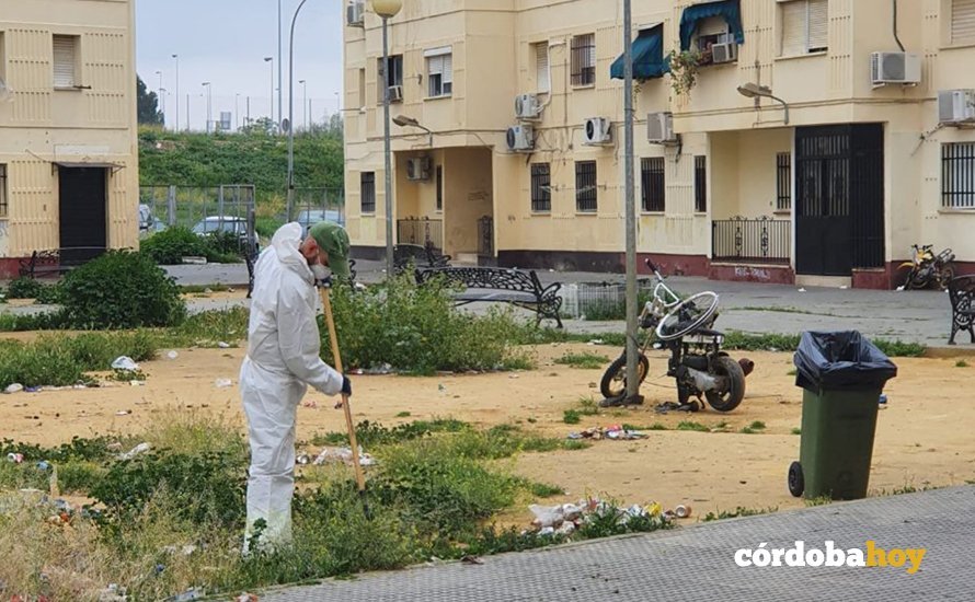 Sadeco desinfecta barrios marginales de la ciudad