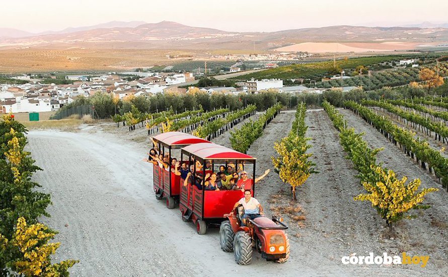 Visitantes en la Ruta del Vino Montilla-Moriles
