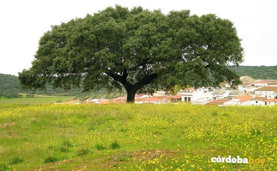 La aldea de Los Pánchez