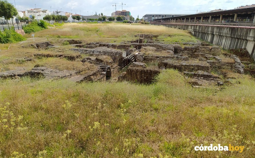 Estado del yacimiento de Cercadilla en Córdoba 2