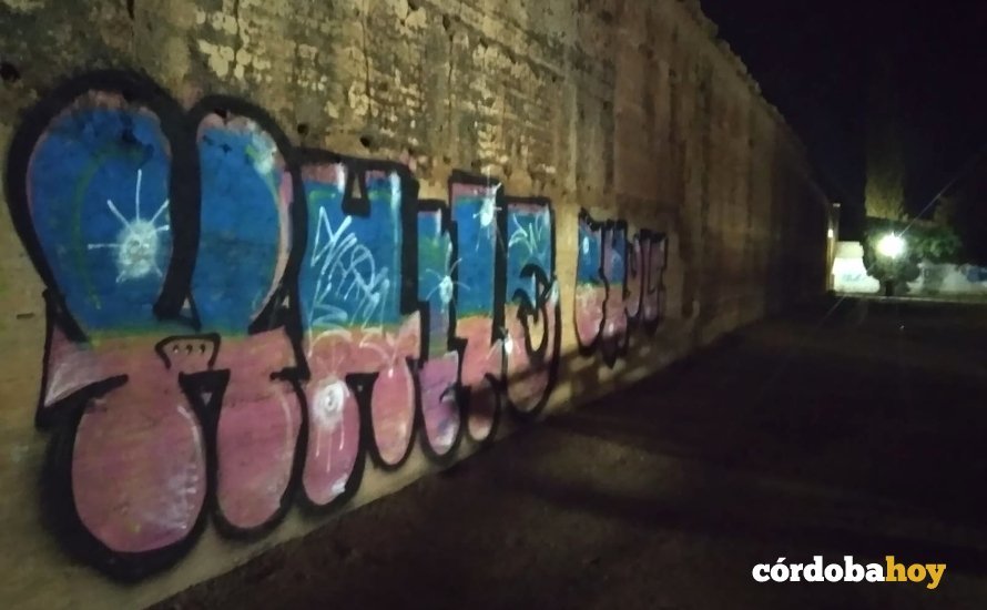 Vandalismo en la muralla del Marrubial