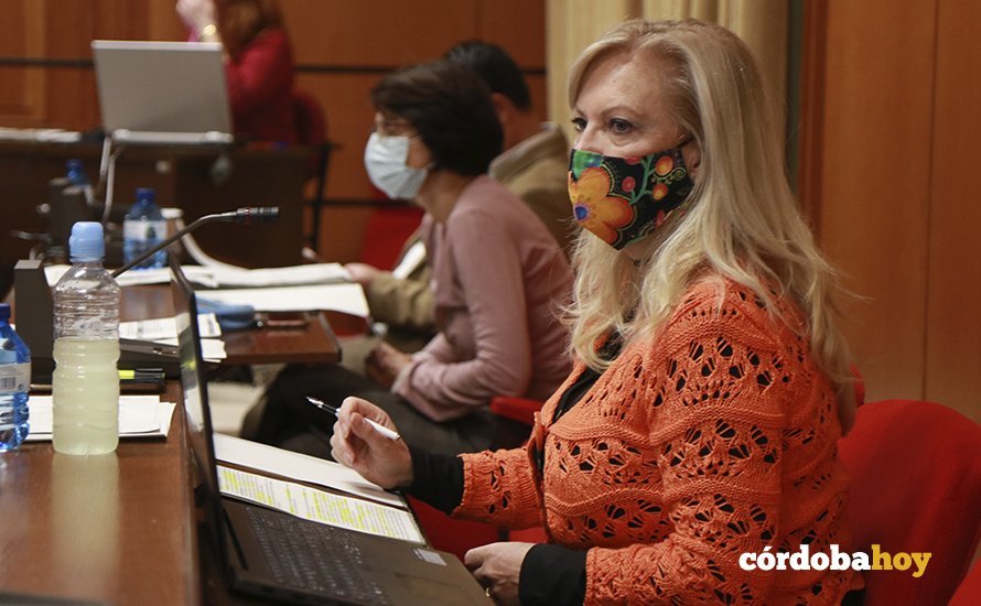 Cristina Pedrajas en el Pleno