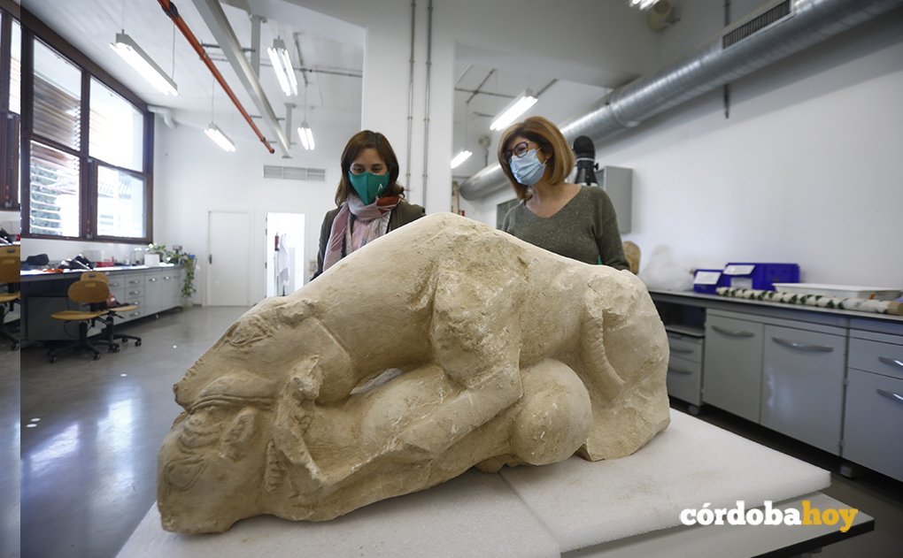 Presentación de la leona íbera en el Arqueológico de Córdoba. Fuente: cordobahoy.es