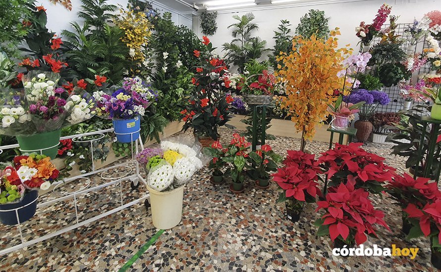 Floristeria en invierno