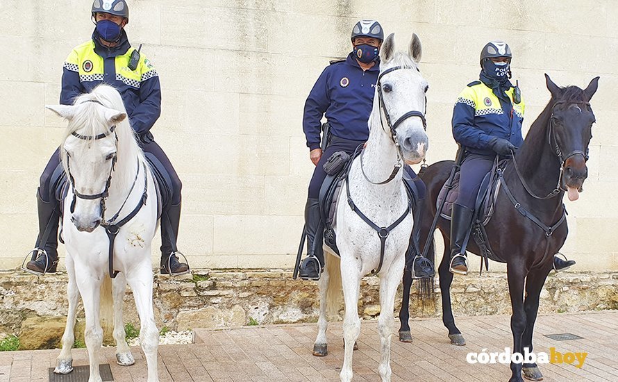 Agentes de la PolicíaLocal de Córdoba a caballo