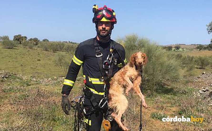 El perro rescatado por uno de los bomberos de Pozoblanco