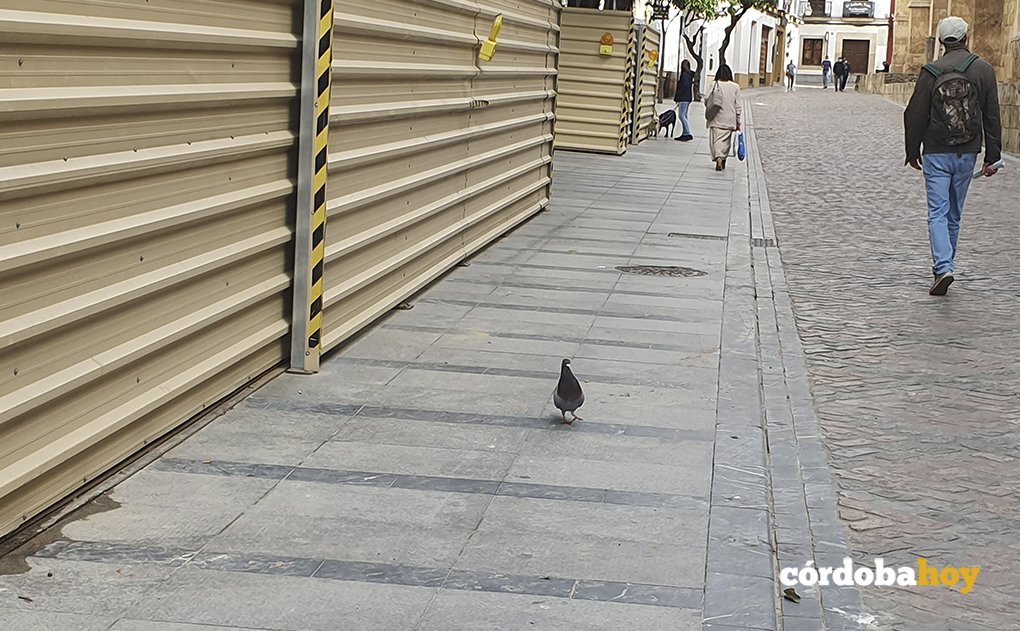 'Manolín' junto a la entrada de la obra