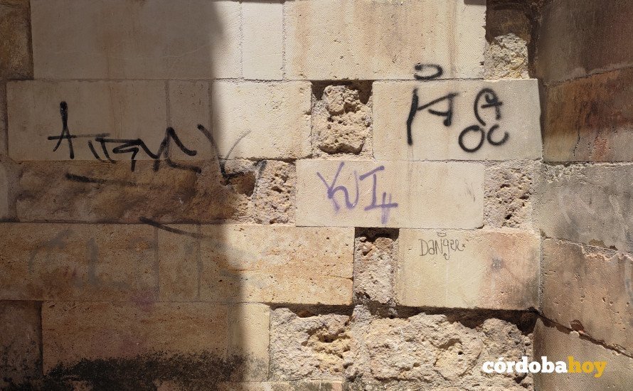 Pintada en San Andrés 3