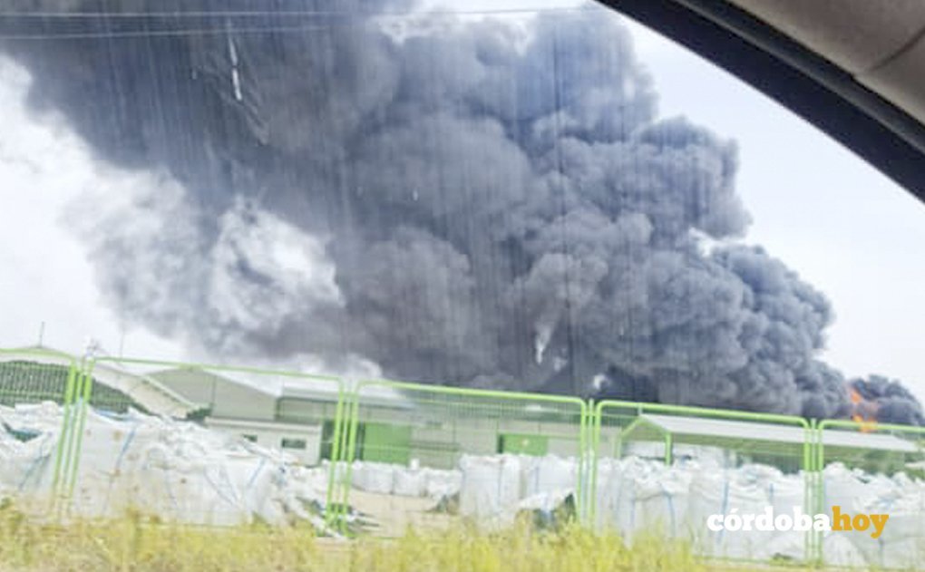 El incendio de Puente Genil FOTO YOLANDA ESCOBAR
