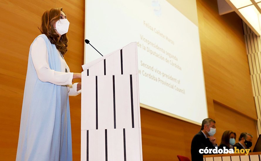 Felisa Cañete en el III Congreso Internacional de Ahogamientos en la Diputación