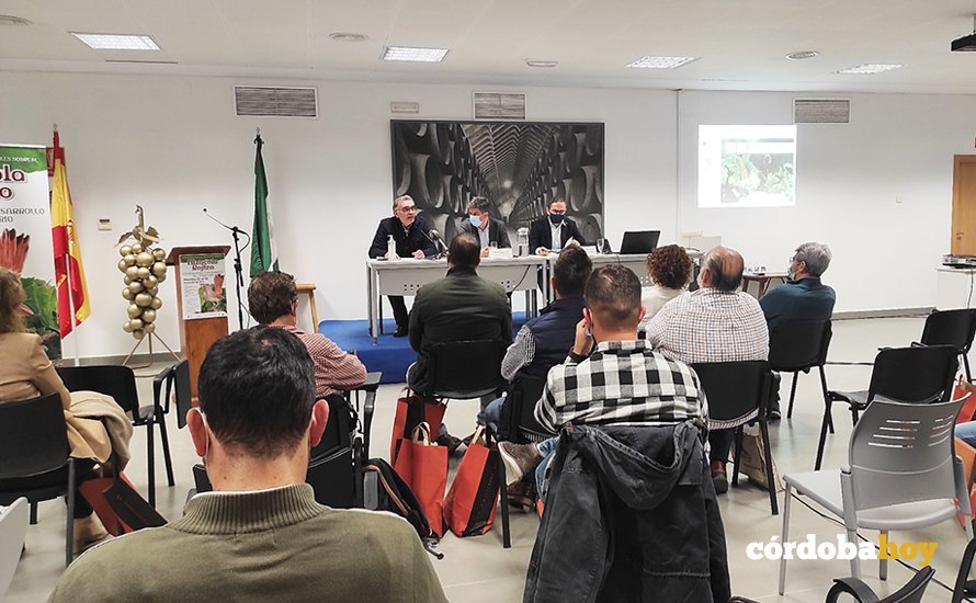 Inauguración de las jornadas técnicas sobre el alzacola rojizo en Montilla