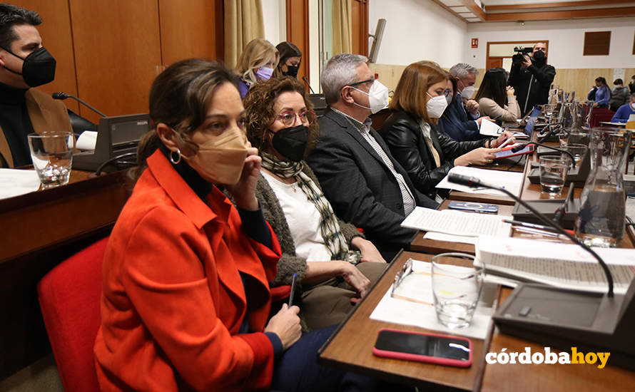 La Bancada socialista en el Pleno FOTO RAFA MELLADO SENIOR