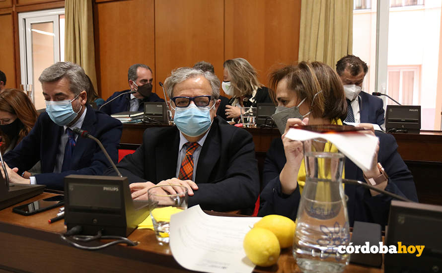Bancada de la derecha en el Pleno FOTO RAFA MELLADO SENIOR