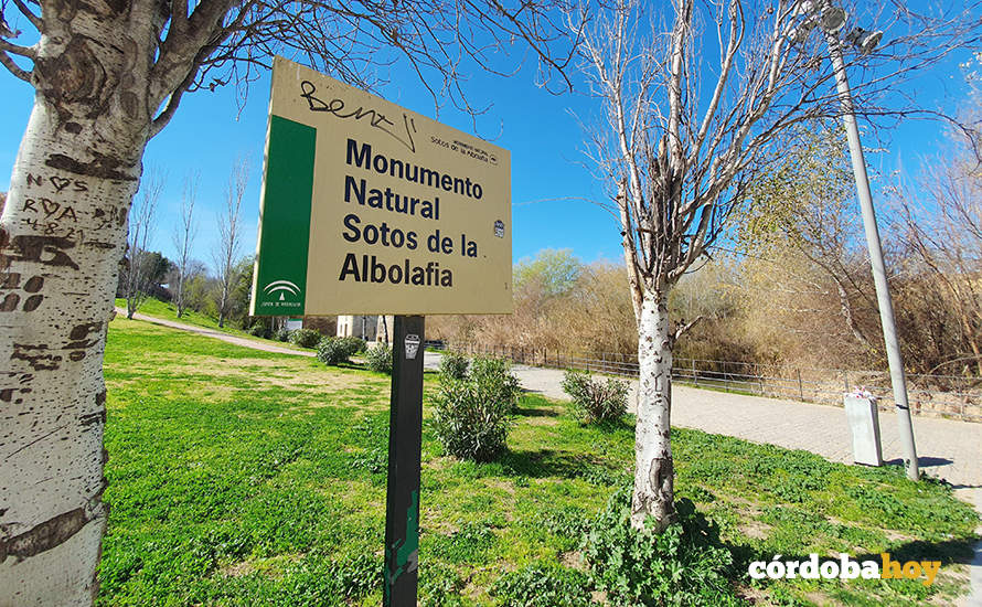 Aspecto actual de los Sotos de la Albolafia