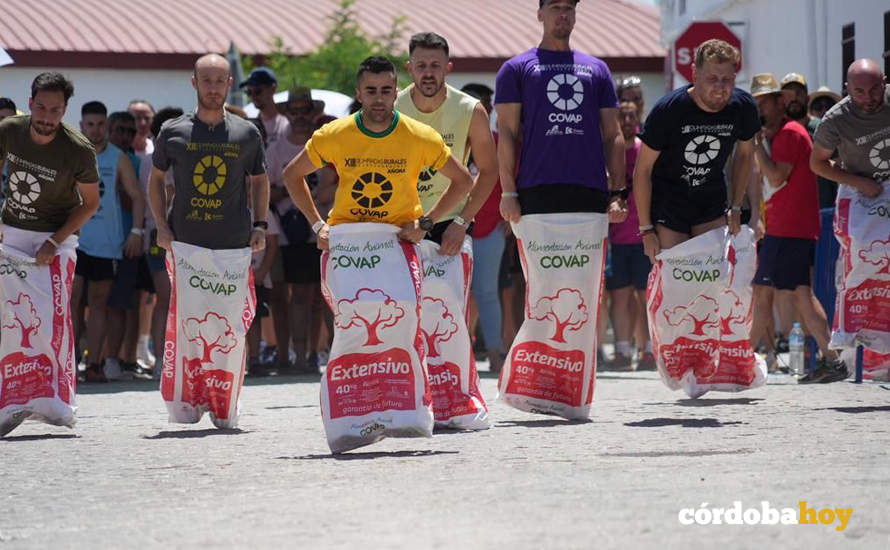 Carreras de saco masculina en las Olimpiadas Rurales de Añora 2022