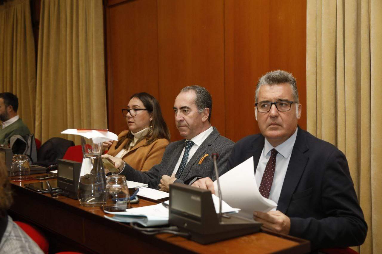 La bancada de ciudadanos en el Pleno FOTO PATRICIA CACHICERO