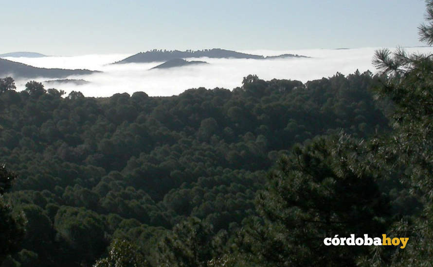 Coto Las Monteras en Córdoba