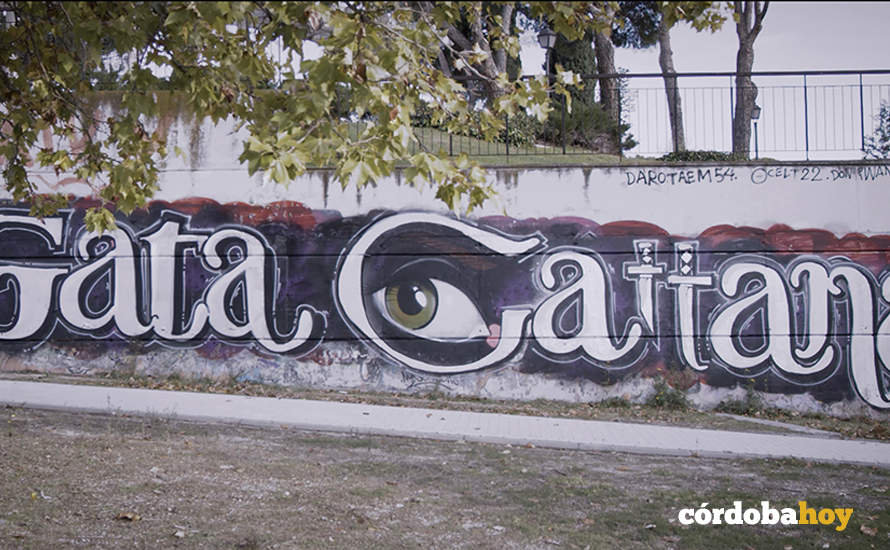 Gata Cattana