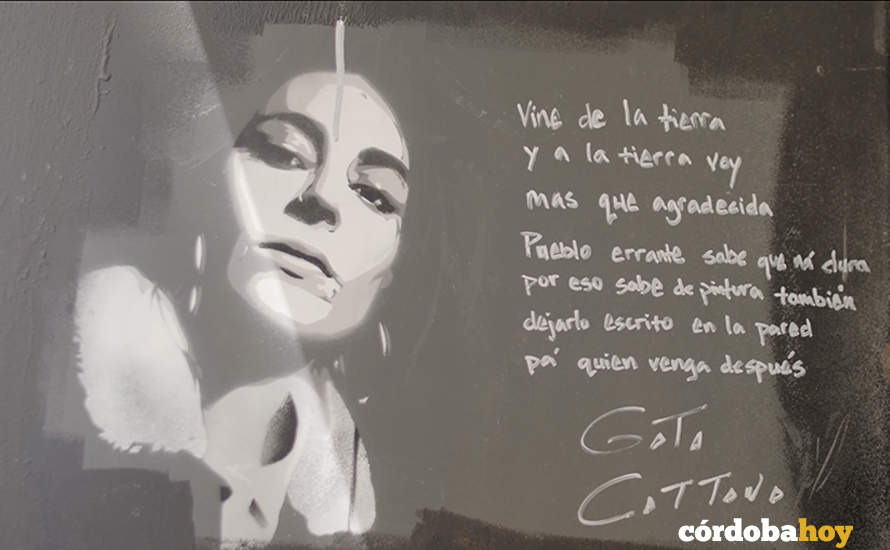 Gata Cattana