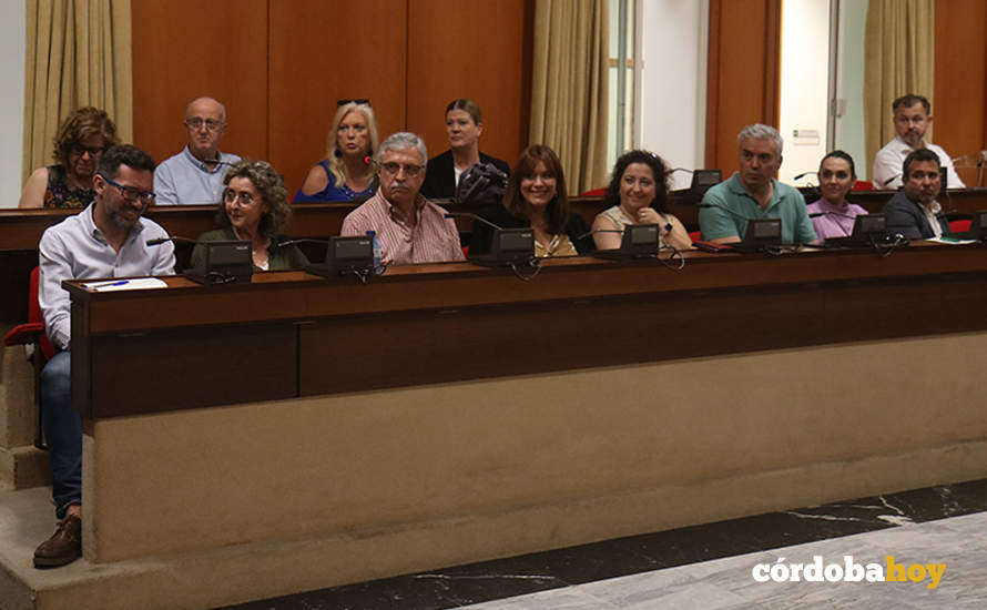 La bancada de la izquierda y el concejal no adscrito en el Pleno FOTO RAFA MELLADO SENIOR