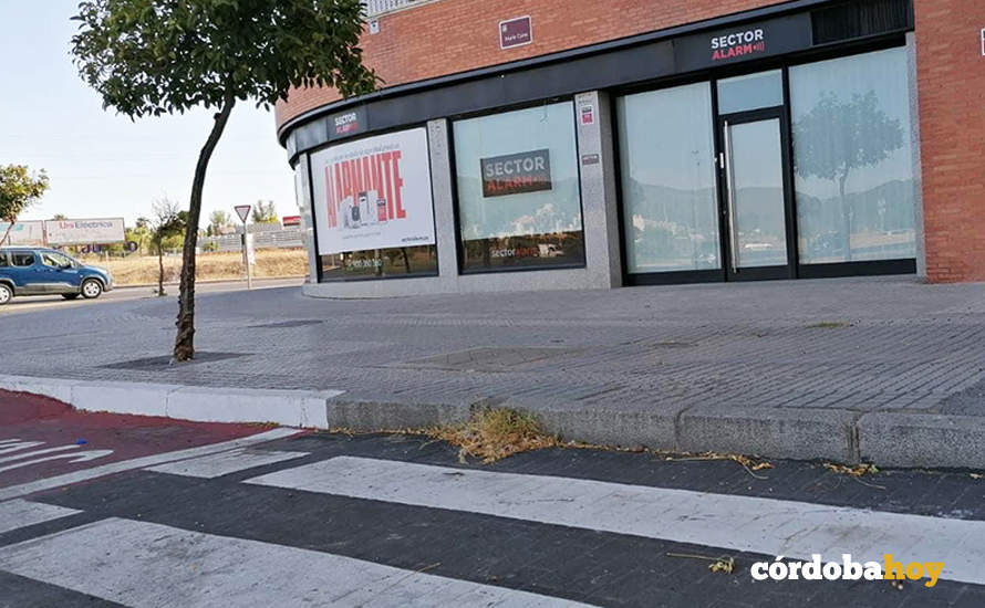 Paso de cebra en Córdoba