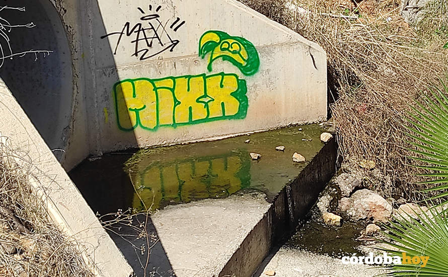 Vertido de aguas fecales al Arroyo Pedroches