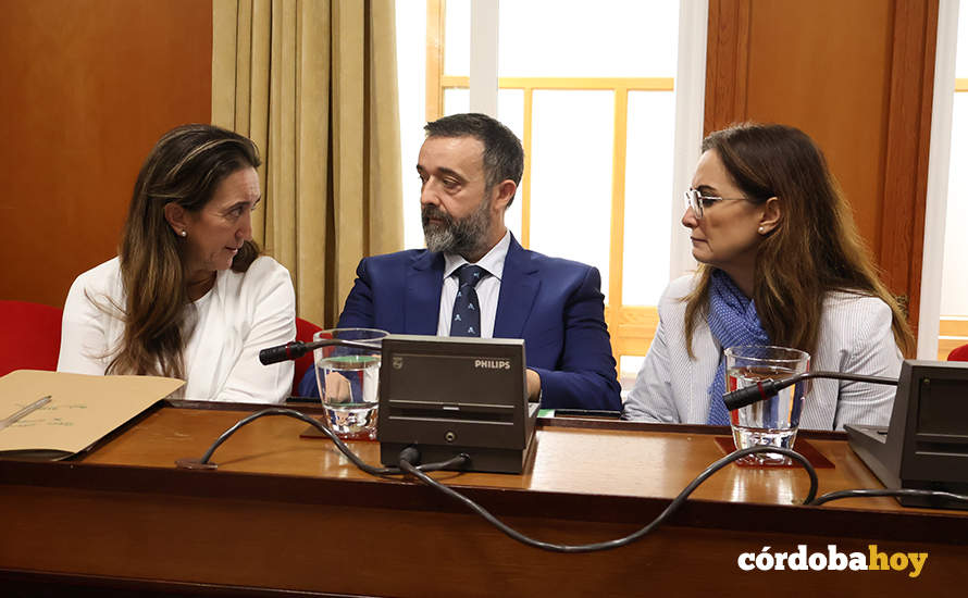 Los tres concejales de Vox en el Pleno FOTO RAFA MELLADO SENIOR