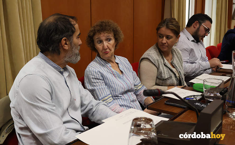 La bancada de Hacemos Córdoba en el Pleno de hoy FOTO RAFA MELLADO SENIOR