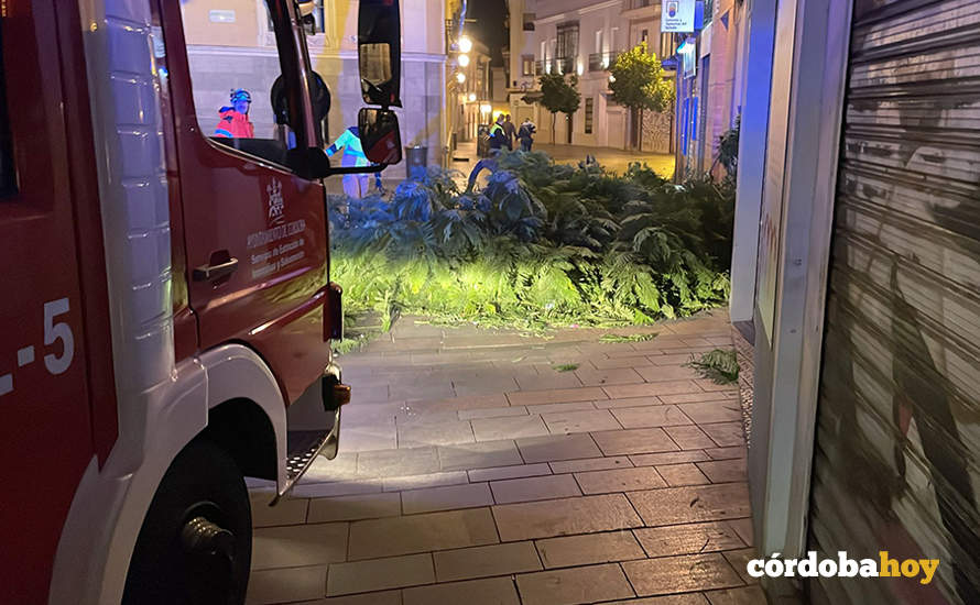 Salida del SEIS de Córdoba esta misma tarde-noche por los efectos del vendaval
