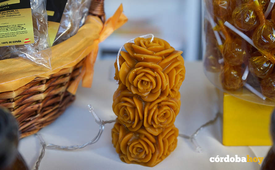 MEDIO AMBIENTE EN LA CIUDAD- Hacemos exige %22una solución%22 tras %22la incapacidad%22 del alcalde para resolver el contrato de las naranjas.